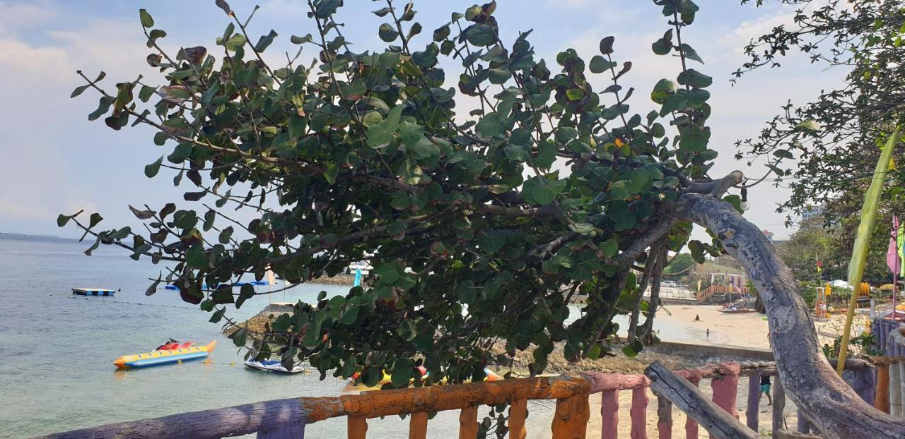 Mactan Newtown Condo With Garden And Ocean View 8Newtown Blvd マクタン エクステリア 写真