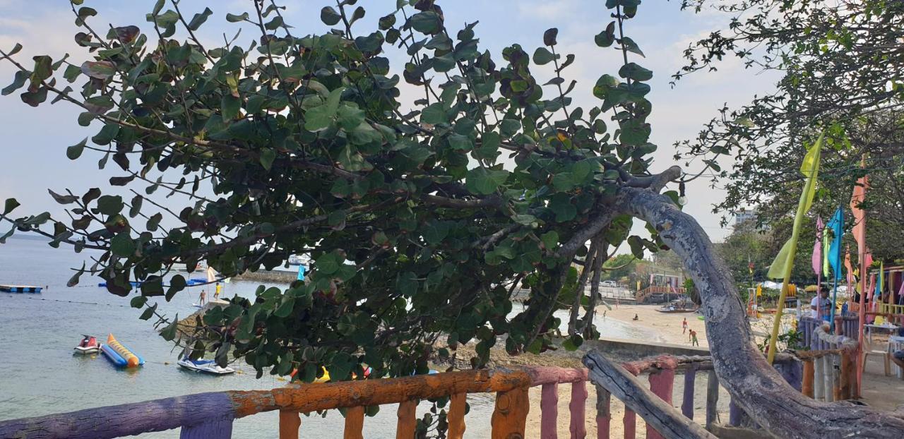 Mactan Newtown Condo With Garden And Ocean View 8Newtown Blvd マクタン エクステリア 写真